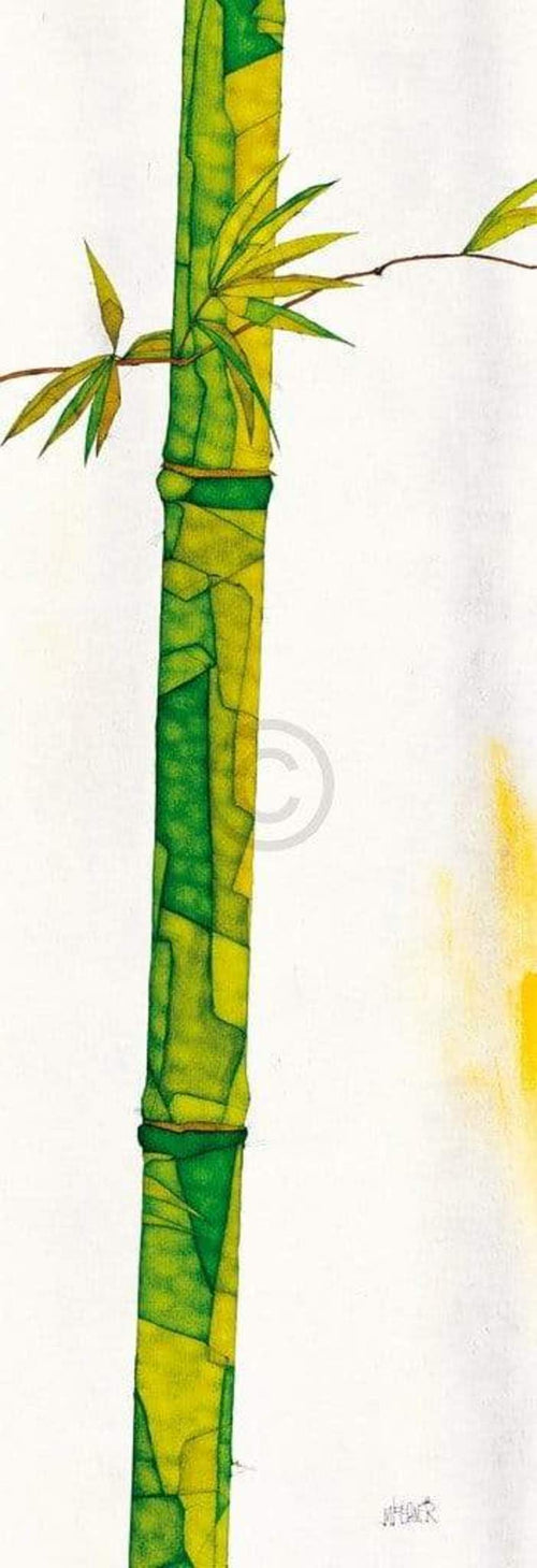Michael Ferner Bambus Duo II Reproducción de arte 34x99cm | Yourdecoration.es
