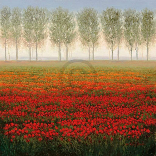 Park Morning Mist Reproducción de arte 68x68cm | Yourdecoration.es