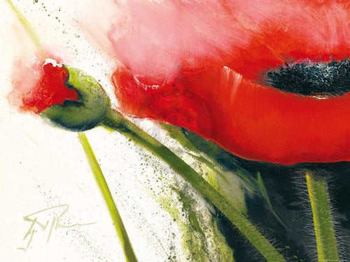 Gerd Pflumm Faszination Mohn I Reproducción de arte 80x60cm | Yourdecoration.es