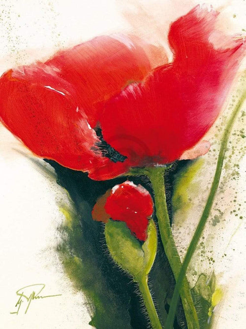 Gerd Pflumm Faszination Mohn II Reproducción de arte 60x80cm | Yourdecoration.es