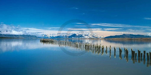 Popp Hackner Kormoräne Reproducción de arte 100x50cm | Yourdecoration.es