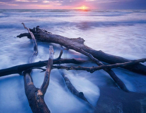 Popp Hackner NPVB Weststrand Reproducción de arte 90x70cm | Yourdecoration.es