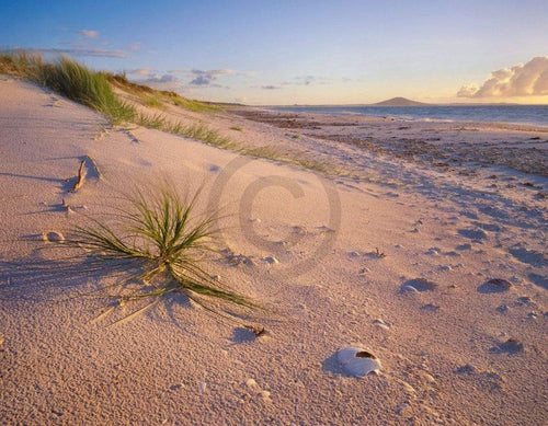 Popp Hackner Northland Karikari Bay Reproducción de arte 90x70cm | Yourdecoration.es