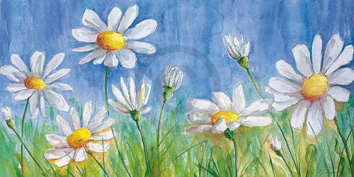Semenzato Margherite Reproducción de arte 140x70cm | Yourdecoration.es