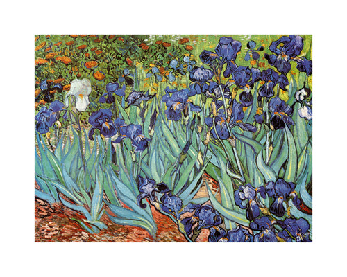 Vincent Van Gogh Iris Reproducción de arte 30x24cm | Yourdecoration.es