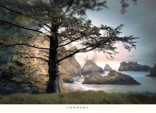 William Vanscoy All Day Dreamer Reproducción de arte 91x66cm | Yourdecoration.es
