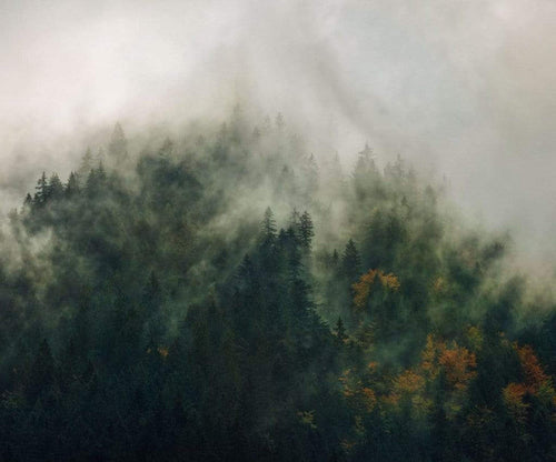 psh036 vd3 komar tales of the carpathians Fotomural Tejido No Tejido 300x250cm 3 Tiras | Yourdecoration.es