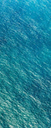 psh096 vd1 komar blaupause Fotomural Tejido No Tejido 100x250cm 1 Tira | Yourdecoration.es