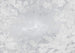 rsx8 057 komar flora Fotomural Tejido No Tejido 400x280cm 8 Tiras b01fd883 8d1c 4fa8 8fcd 20f074a1b89c | Yourdecoration.es