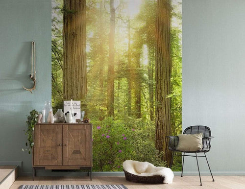 sh019 vd2 komar redwood Fotomural Tejido No Tejido 200x250cm 2 Tiras Ambiente | Yourdecoration.es
