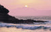 sh050 vd4 komar forbidden love Fotomural Tejido No Tejido 400x250cm 4 Tiras | Yourdecoration.es