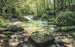 sh079 vd4 komar tranquil pool Fotomural Tejido No Tejido 400x250cm 4 Tiras | Yourdecoration.es