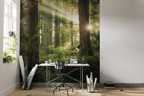 shx5 037 komar goblins woods Fotomural Tejido No Tejido 250x280cm 5 Tiras Ambiente d0fe9333 c7c8 4931 b239 30ae8ad96d77 | Yourdecoration.es