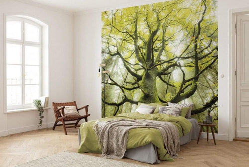 shx6 020 komar der traumbaum Fotomural Tejido No Tejido 300x280cm 6 Tiras Ambiente 1871b57e adb6 47d7 abd7 6beafa02e113 | Yourdecoration.es