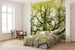 shx6 020 komar der traumbaum Fotomural Tejido No Tejido 300x280cm 6 Tiras Ambiente 1871b57e adb6 47d7 abd7 6beafa02e113 | Yourdecoration.es