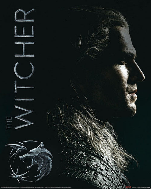 Pyramid The Witcher Shadows Embrace Póster 40X50cm | Yourdecoration.es