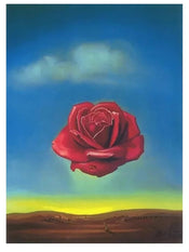 Impresion del arte Salvador Dali Rose Meditative 60x80cm SD 883 | Yourdecoration.es