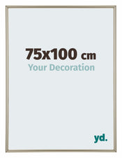 Annecy Plastico Marco de Fotos 75x100cm Champan Delantera Tamano | Yourdecoration.es