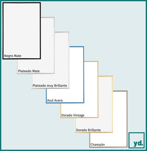 Marco de Fotos 40x60 cm - Plateado Brillante - Aluminio - Austin