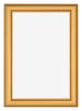 Marco de Fotos 61x91 5cm Dorado Matte MDF Lazio Delantera | Yourdecoration.es