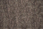 5462 8 wizard genius bark wall Fotomural Tejido No Tejido 384x260cm 8 Tiras c5256133 f319 42f3 a086 e48f5a1e2442 | Yourdecoration.es