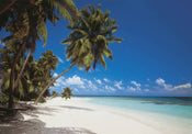 8 240 komar maldives Fotomural 388x270cm 8 Partes | Yourdecoration.es