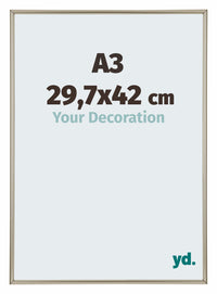Annecy Plastico Marco de Fotos 29 7x42cm A3 Champan Delantera Tamano | Yourdecoration.es
