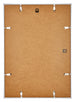 Annecy Plastico Marco de Fotos 29 7x42cm A3 Champan Trasera | Yourdecoration.es