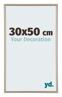 Annecy Plastico Marco de Fotos 30x50cm Champan Delantera Tamano | Yourdecoration.es