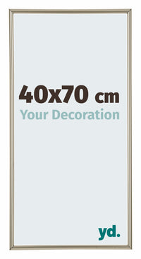 Annecy Plastico Marco de Fotos 40x70cm Champan Delantera Tamano | Yourdecoration.es