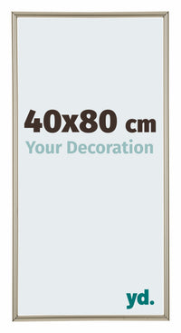 Annecy Plastico Marco de Fotos 40x80cm Champan Delantera Tamano | Yourdecoration.es