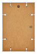 Annecy Plastico Marco de Fotos 50x75cm Champan Trasera | Yourdecoration.es