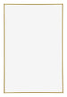 Annecy Plástico Marco de Fotos 60x90cm Oro Delantera | Yourdecoration.es