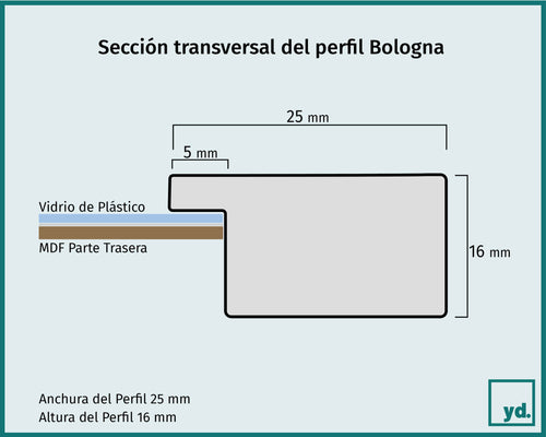Bologna Detalle Seccion Transversal Dibujo | Yourdecoration.es