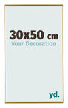 Evry Plástico Marco de Fotos 30x50cm Dorado Delantera Tamano | Yourdecoration.es