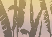 Fotomural Bahama Bananas 350x250cm FLX7 018 | Yourdecoration.es