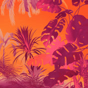 Fotomural Funky Jungle 250x250cm Komar FLX5 049 | Yourdecoration.es