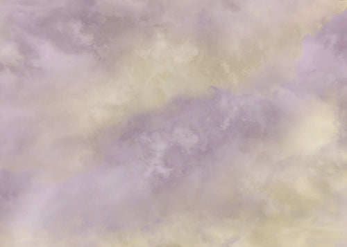 Fotomural Lavender clouds 350x250cm FLX7 009 | Yourdecoration.es