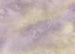Fotomural Lavender clouds 350x250cm FLX7 009 | Yourdecoration.es