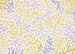 Fotomural Sage Flip 350x250cm FLX7 016 | Yourdecoration.es