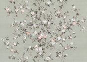 Komar Rosellia No Tejido Fotobehang 350x250cm 7 tiras | Yourdecoration.es