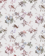 Komar Sweet Lullaby No Tejido Fotobehang 200x250cm 4 tiras | Yourdecoration.es