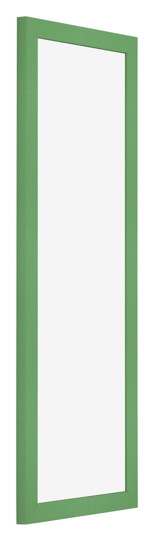 Marco de Fotos 33x98cm Verde MDF Bologna Delantera Oblicuo | Yourdecoration.es