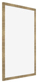 Marco de Fotos 42x59 4cm A2 Dorado Antiguo MDF Bologna Delantera Oblicuo | Yourdecoration.es