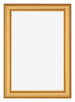 Marco de Fotos 62x93cm Dorado Matte MDF Lazio Delantera | Yourdecoration.es