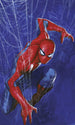 Marvel Spider Man Spider Papel Pintado DX3 210 | Yourdecoration.es
