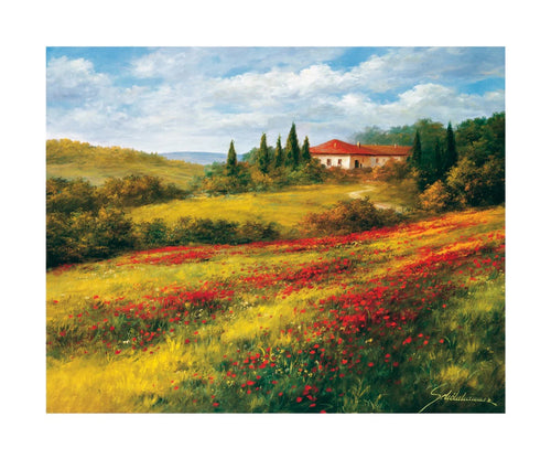 PGM SRH 05 Heinz Scholnhammer Landschaft mit Mohn I Reproducción de arte 60x50cm | Yourdecoration.es