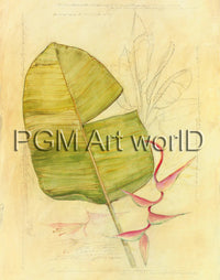 PGM TNA 52 Avery Tillmon Botanical Journal I Reproducción de arte 56x71cm | Yourdecoration.es