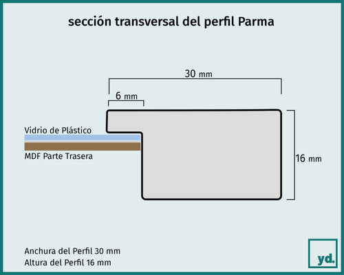 Parma Detalle Seccion Transversal Dibujo | Yourdecoration.es