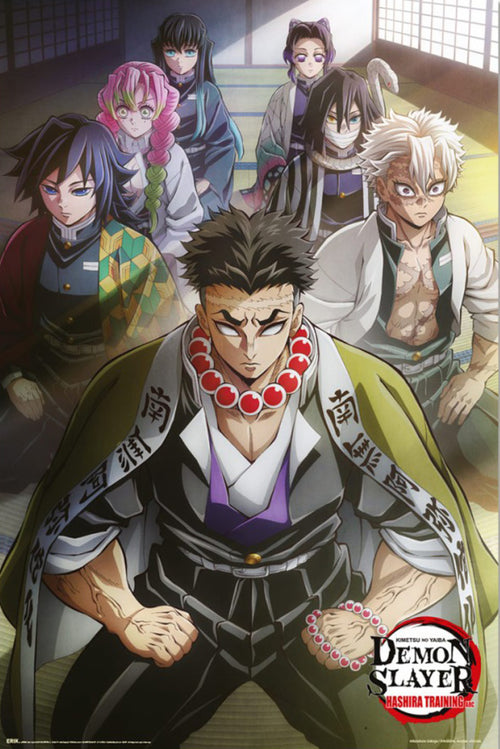 Poster Demon Slayer Hashira Training 1 61x91 5cm GPE6072 | Yourdecoration.es